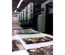 Commercial Poster Printing